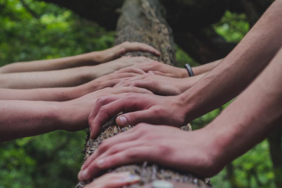 Hände auf Baum
